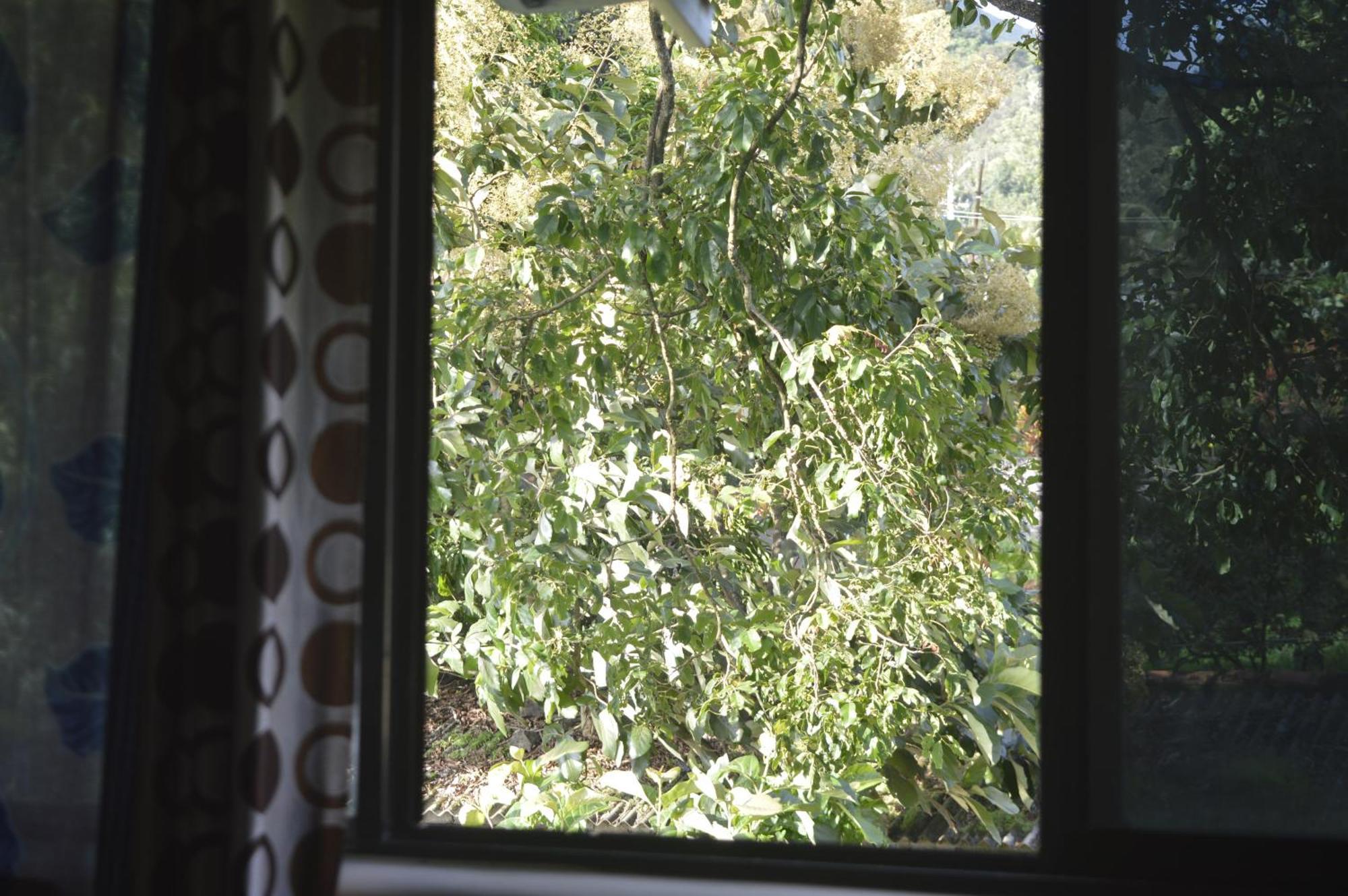 Green Castle Residency Nedumkandam 외부 사진